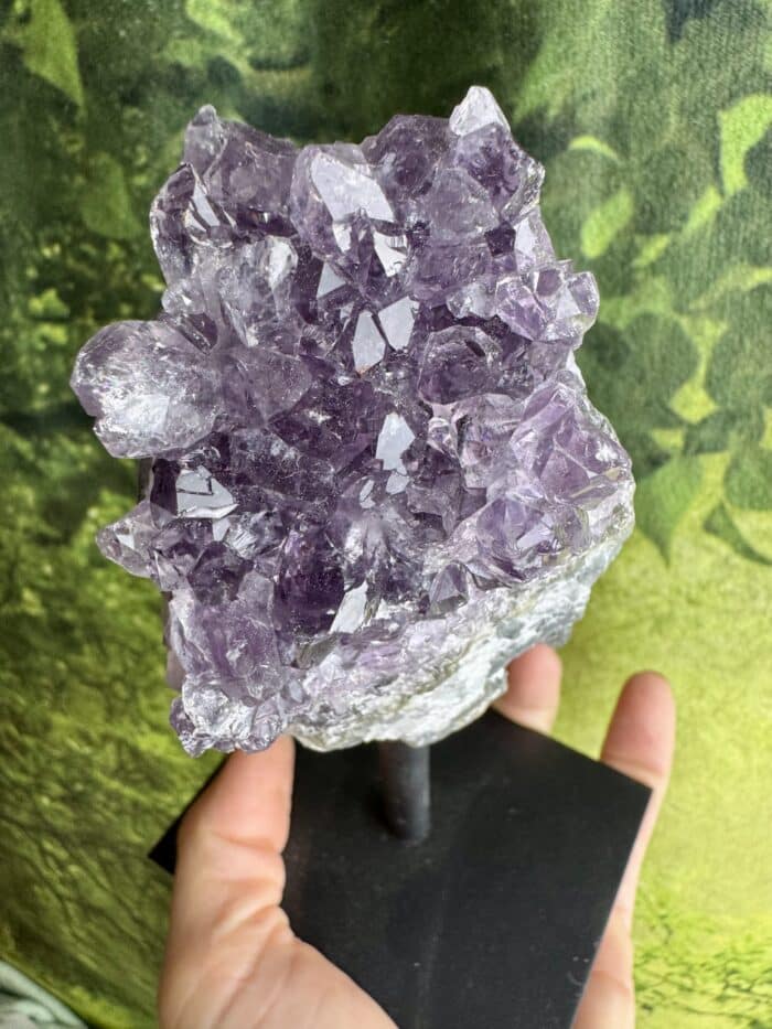 Amethyst Drusen Blüte auf Ständer 14cm - Harmonie und Einklang 4 Seelenbewusst